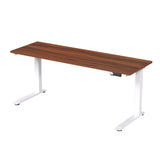 Escritorio Eléctrico Plus