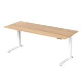 Escritorio Eléctrico Plus