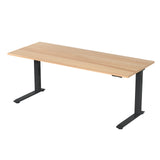 Escritorio Eléctrico Plus