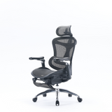 Silla ErgoMax