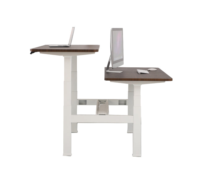 Bases para Escritorio